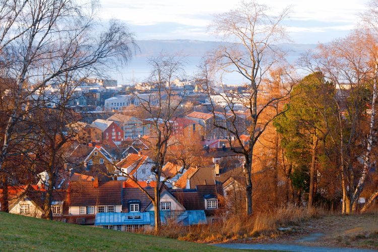 Ilustrasi Kota Trondheim di Norwegia.