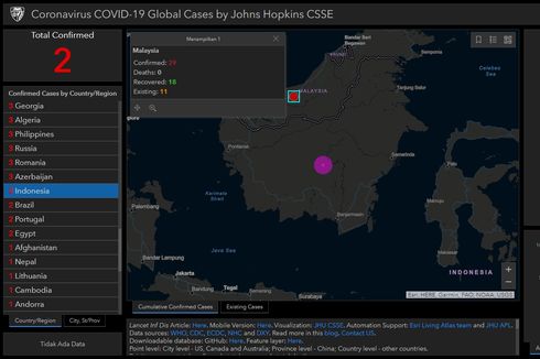 Positif Terinfeksi, Indonesia Resmi Masuk Peta Sebaran Virus Corona Global