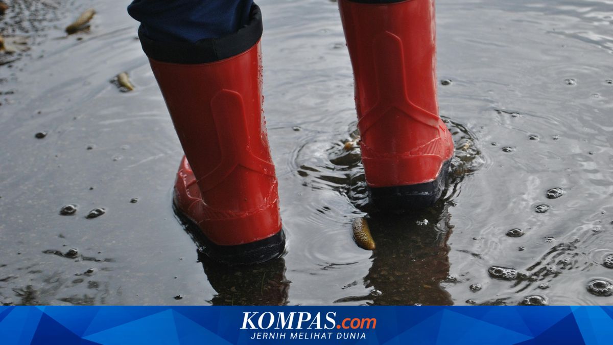 Kali Bekasi Meluap, Ratusan KK di 4 Kelurahan Kota Bekasi Terendam Banjir ~TR

Klik untuk baca: