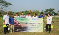 Rayakan Hari Lingkungan Hidup Sedunia, WSP Perkuat Komitmen ESG lewat Aksi Tanam Pohon