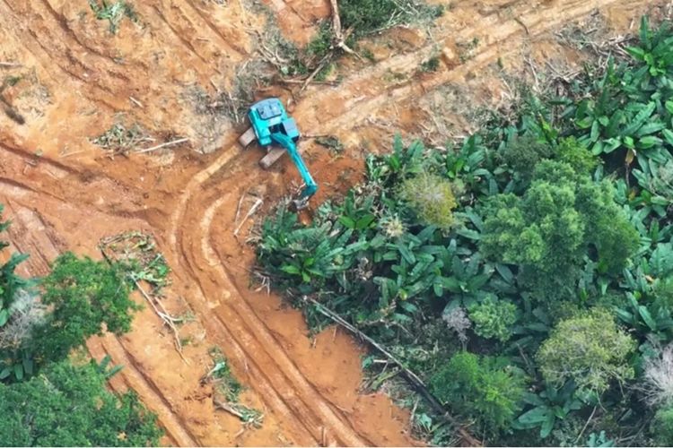 Ekskavator yang diamankan petugas Gakkum Kemenhut karena diduga digunakan untuk pembukaan kawasan hutan lindun di Kabupaten Konawe Selatan, Sulawesi Tenggara, Selasa (29/7/2025).