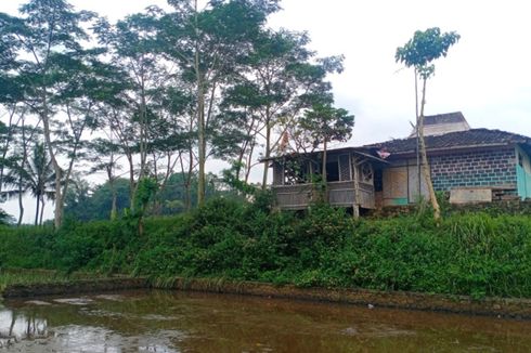 Bukan Dukun, Penanam 167 Pohon Ganja di Garut adalah Pandai Besi