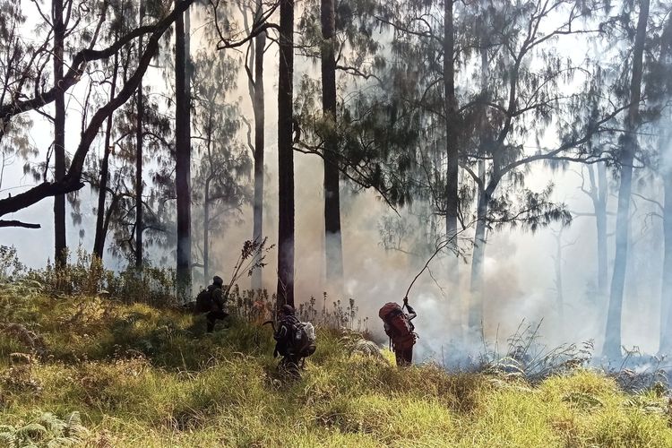 Karhutla Arjuno-Welirang Diduga akibat Aktivitas Manusia, Tahura Siapkan Langkah Hukum