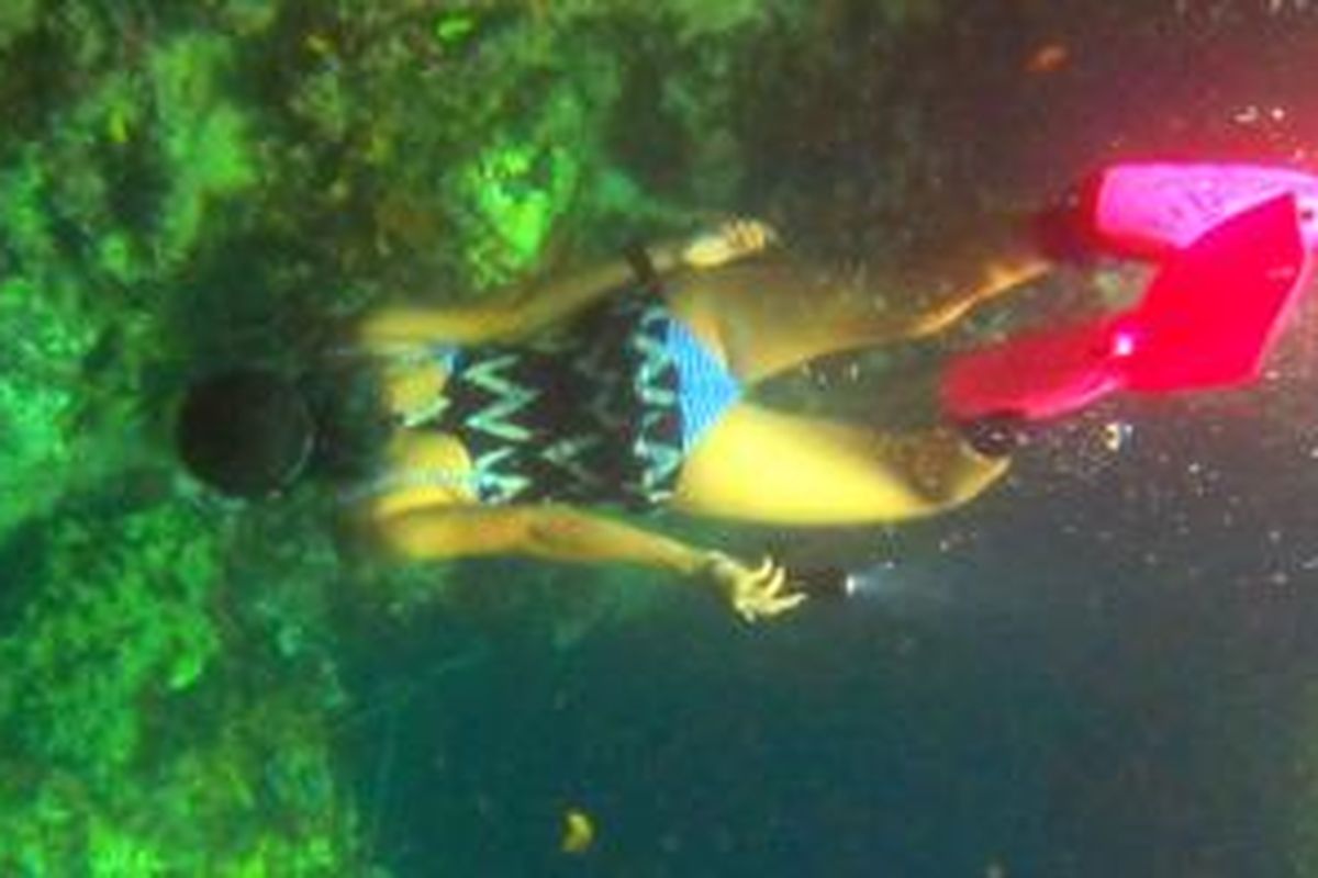 Marischka Prudence temani tim Terios 7 Wonders Jelajah indahnya dasar laut Maratua