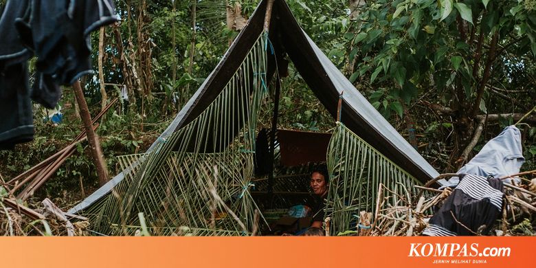Gempa Ambon: 135.875 Orang Mengungsi, 6.795 Rumah Rusak