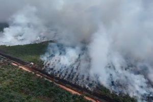 3.311 Hotspot Terdeteksi di Sumsel, OKI Jadi Wilayah dengan Titik Panas Terbanyak