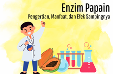 Enzim Papain: Pengertian, Manfaat, dan Efek Sampingnya