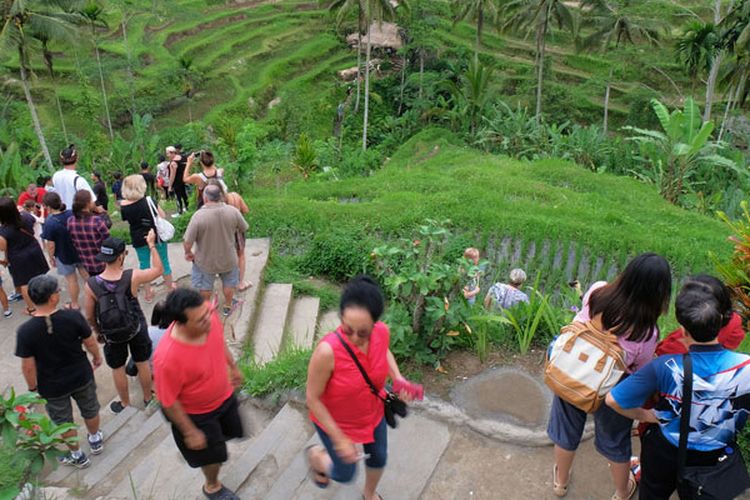 Wisatawan mancanegara menikmati keindahan terasering sawah di obyek wisata Ceking Terrace, Gianyar, Bali, Jumat (28/12/2018). Obyek wisata di Bali kini padat pengunjung karena liburan panjang Hari Natal, Hari Galungan dan Kuningan serta tahun baru, sehingga ditargetkan memberi dampak positif setelah sempat anjlok tahun lalu akibat erupsi Gunung Agung.  