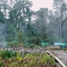 Kamp Tambang Ilegal di Pegunungan Bintang Diserang OTK, 1 Orang Tewas