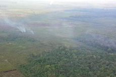 Ditemukan 104 Titik Api di Lampung, Terbanyak di Ladang Tebu 