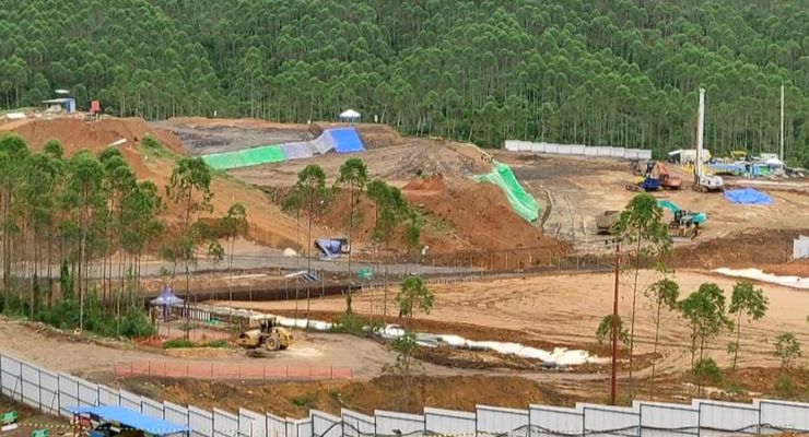 Pemerintah Berencana Tanam Tumbuhan dari 38 Provinsi di IKN