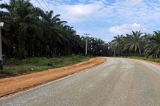 29,84 Kilometer Jalan Daerah di Sumbar Diperbaiki, Progresnya 51 Persen