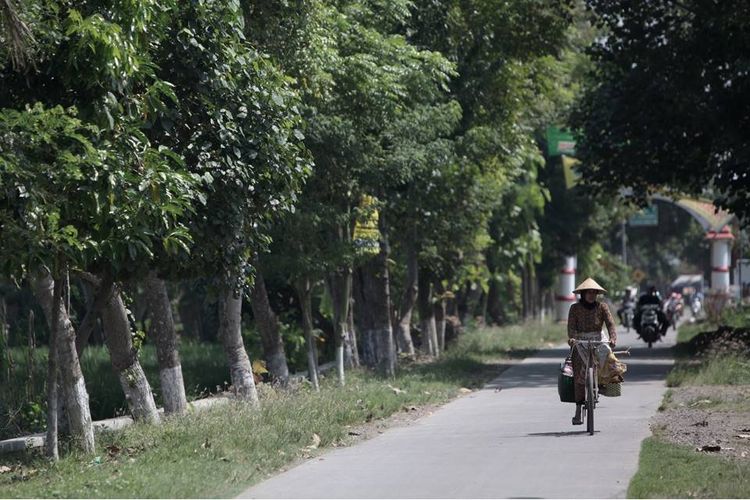 Akses jalan menuju kampung wisata Burung Hantu, Tlogoweru, Kecamatan Guntur, Kabupaten Demak, Jawa Tengah.