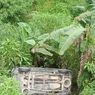Avanza Terjun ke Jurang Sedalam 7 Meter di Deli Serdang, Sopir dan Penumpang Selamat