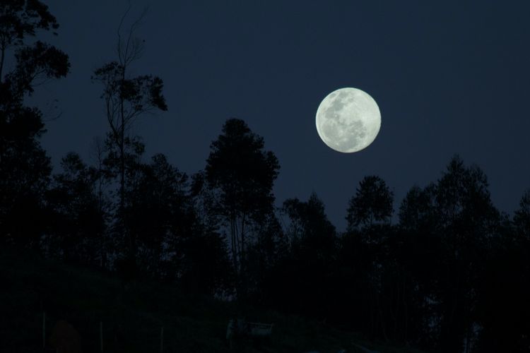 Ilustrasi bulan purnama. Ada banyak fenomena langit Mei 2026 yang bisa dilihat, dari Supermoon hingga mengamati inti Galaksi Bima Sakti.