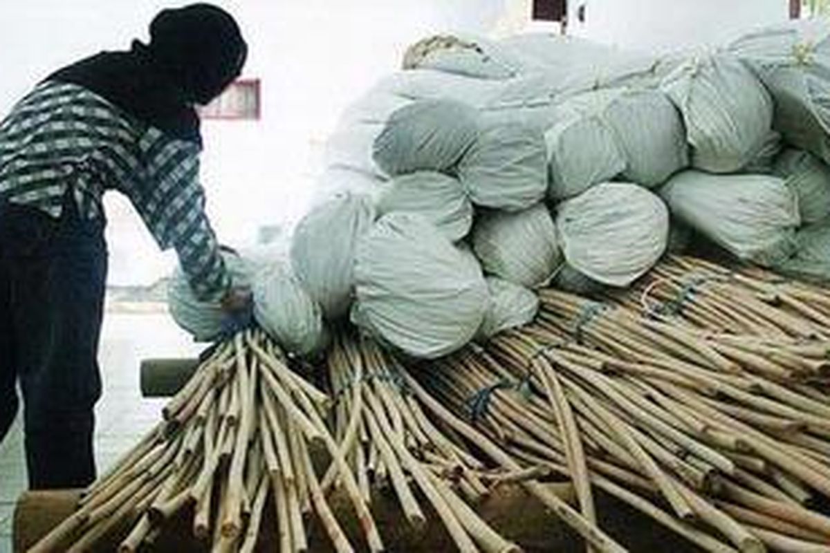 Rotan berbagai jenis dan ukuran menumpuk di gudang-gudang agen di Cirebon, Jawa Barat, Kamis (6/10/2011). Hal itu disebabkan oleh sepinya pembeli dari kalangan perajin dan pabrikan rotan dalam dua tahun terakhir. Ironisnya, sejumlah perajin di Cirebon mengeluhkan kelangkaan rotan jenis tertentu. Kalaupun ada, harganya melambung tinggi.