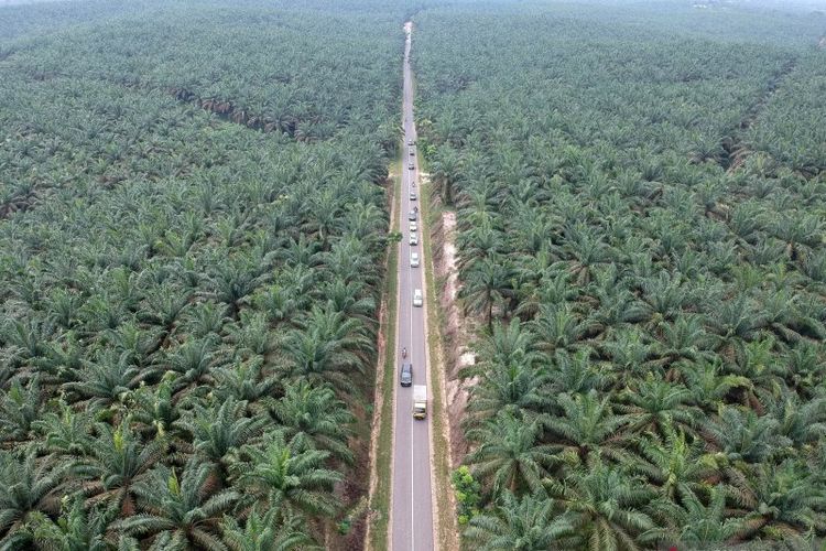 Foto udara jalur alternatif mudik lintas barat Jambi-Sumbar di Petajen,
Bajubang, Batanghari, Jambi, Senin (20/5/2019).
