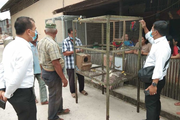 Seorang pemuda berinial LK asal Kecamatan Mempawah Hilir, Kabupaten Mempawah, Kalimantan Barat, ditangkap polisi. Direktur Reserse Kriminal Khusus Polda Kalbar Kombes Pol Juda Nusa Putra mengatakan, penangkapan tersebut terkait kepemilikan 15 ekor burung kasturi yang dipelihara LK alias A di rumahnya.