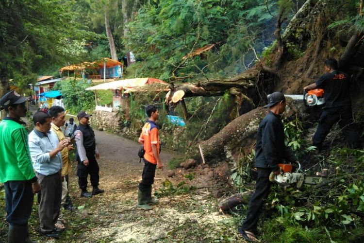 BERSIHKAN --Tim gabungan bersama warga memotong dan membersihkan pohon yang tumbang menutup akses jalan ke obyek wisata Telaga Sarangan di Kelurahan Sarangan, Kecamatan Plaosan, Kabupaten Magetan, Jawa Timur, Minggu ( 23/2/2017) pagi. 