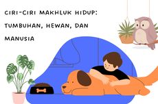 Ciri-ciri Makhluk Hidup: Tumbuhan, Hewan, dan Manusia