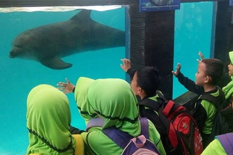 Tempat wisata Batang Dolphins Center di Batang, Jawa Tengah.