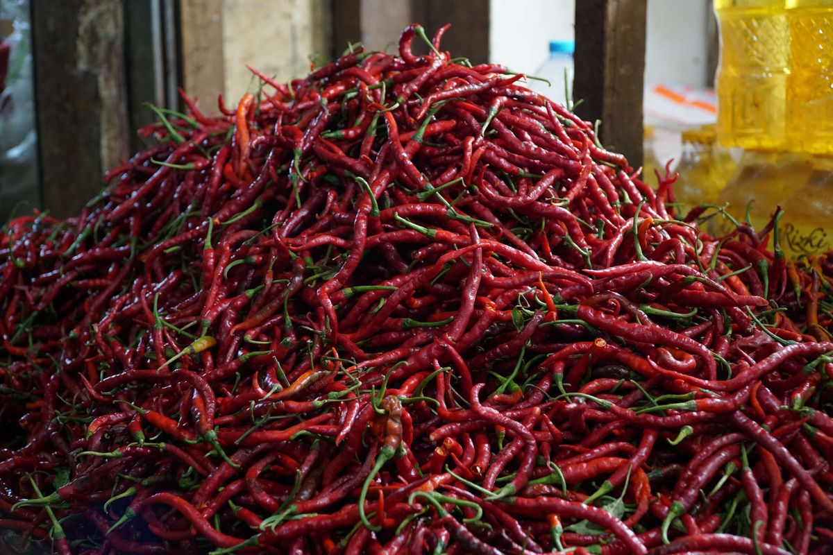 Harga Cabai Keriting di Jakarta Naik karena Pasokan Berkurang akibat Hujan