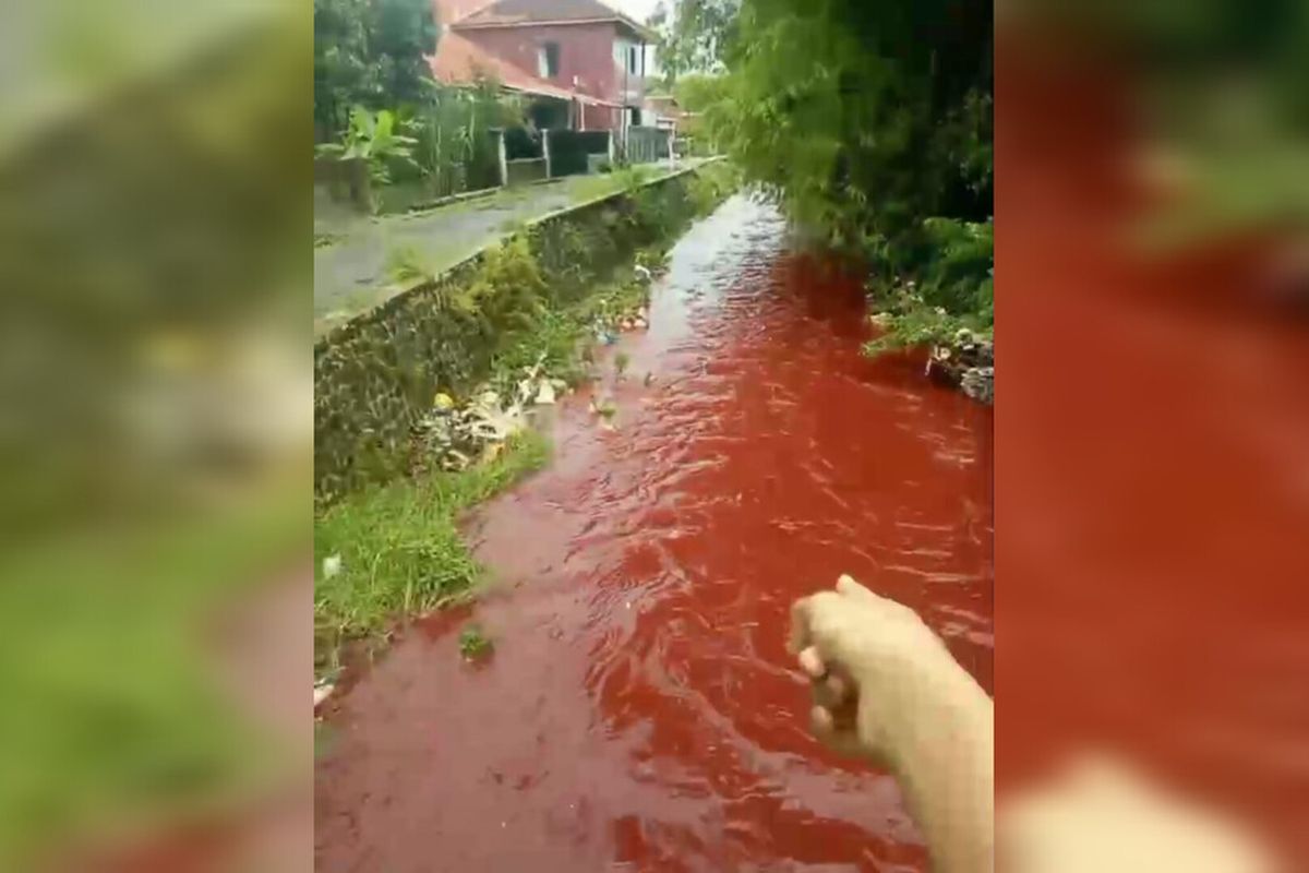 tangkap layar dari video warga terkait kondisi sungai silayar di desa Kecomberan Kecamatan Talun Kabupaten Cirebon Jawa Barat yang merah, pada Senin (19/5/2025) siang.