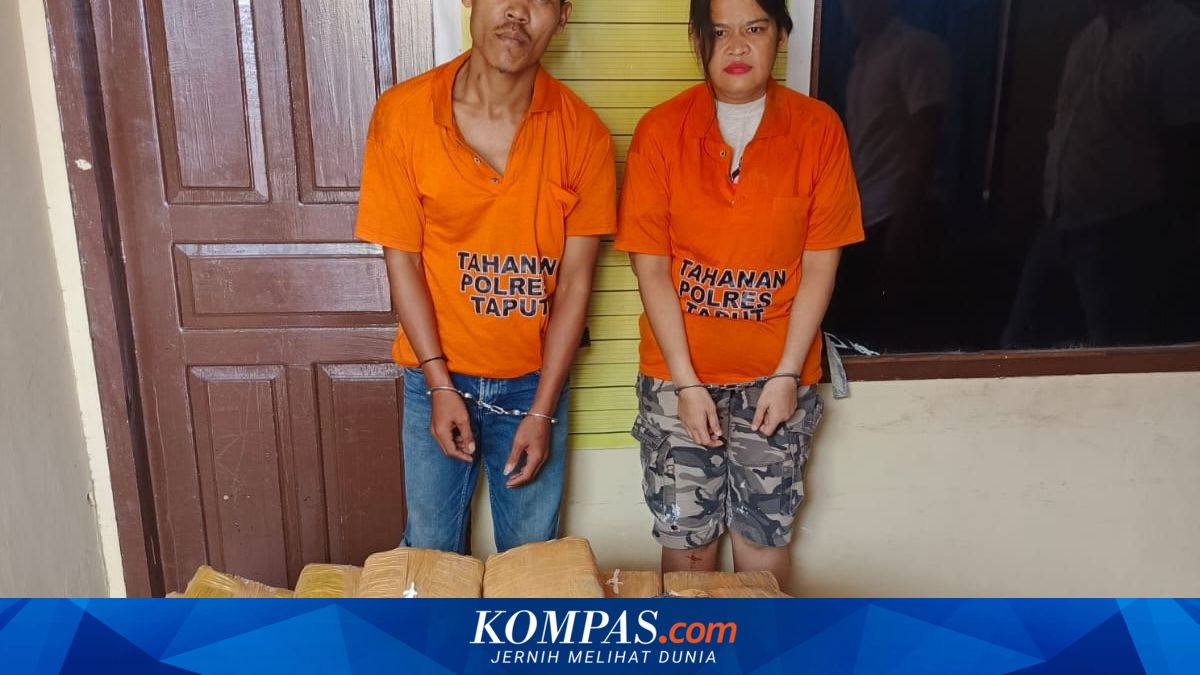 Ketahuan Bawa Ratusan Paket Ganja Usai Tabrak Truk, 2 Orang di Tapanuli Utara Ditangkap