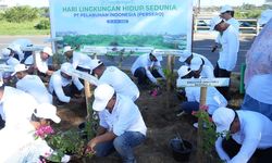 Dukung Pembangunan Berkelanjutan, Pelindo Tanam 40.000 Pohon