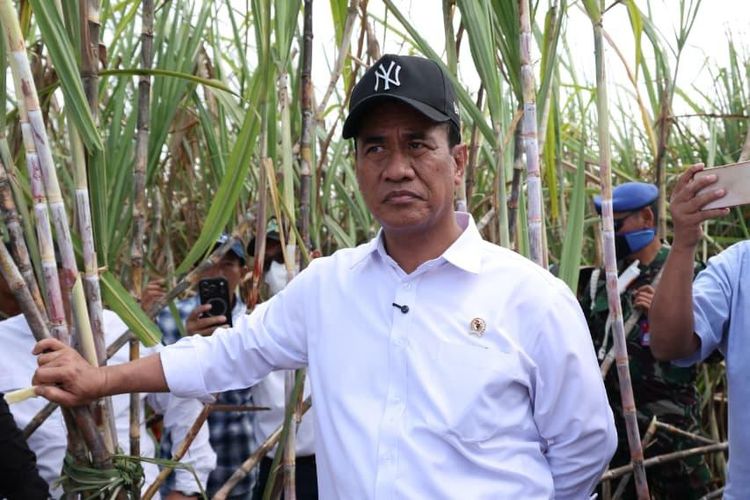 Kejar Swasembada Gula 2 Tahun, Pemerintah Siapkan Rp 1,7 Triliun untuk Peremajaan Pohon Tebu