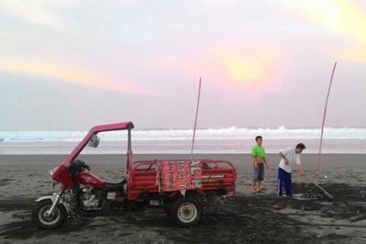 Sejumlah petugas yang sedang membersihkan sampah area pantai Parangtritis, Kamis (9/6/2016), pasca banjir rob akibat air laut pasang yang terjadi dari siang hingga malam hari kemarin.