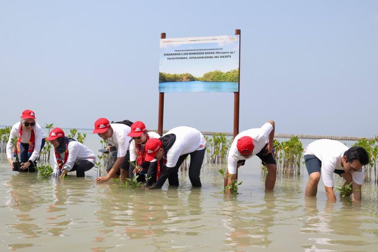 Aksi penanaman Bakau oleh AHM di Pulau Pramuka