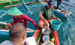 Pesisir Lestari Ajak Pemerintah dan Masyarakat Jaga Keanekaragaman Hayati Berkelanjutan