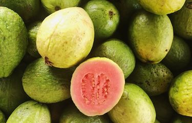 4 Efek Samping Makan Jambu Biji, Apa Saja? Halaman all - Kompas.com