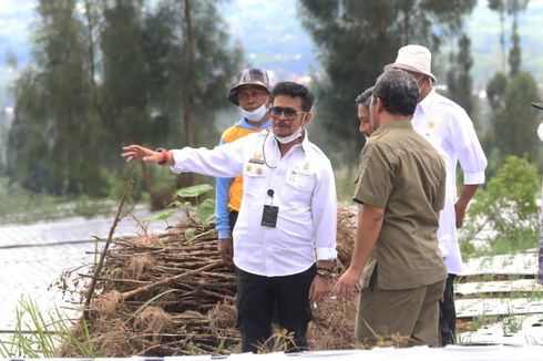 Mentan SYL Sebut Kenaikan Harga Telur Ayam Masih Dalam Titik Batas Wajar