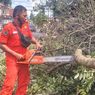 Kota Malang Diterjang Angin Kencang 2 Hari, 12 Pohon Tumbang dan 3 Atap Bangunan Rusak