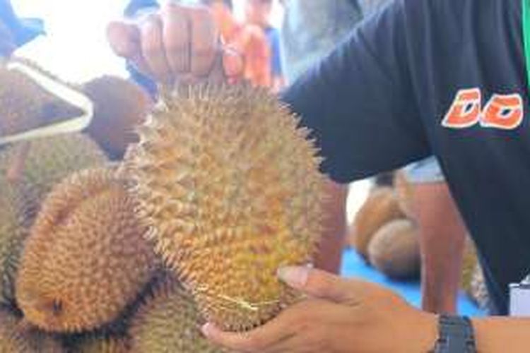 Durian Monti, Gunung Pati Semarang, Jawa Tengah. Bentuknya yang memanjang seperti mangga, hasil perkawinan durian monthong dengan durian asli Gunung Pati. Durian monti dihadirkan pada Pesta Durian 2016 di Mall Arta Gading Jakarta, Minggu (3/4/2016).