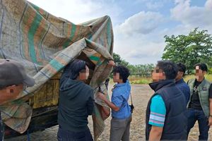 Jaringan Penyelundupan Timah Dibongkar, TNI AL Amankan 75,7 Ton Barang Bukti Senilai Rp 76 Miliar