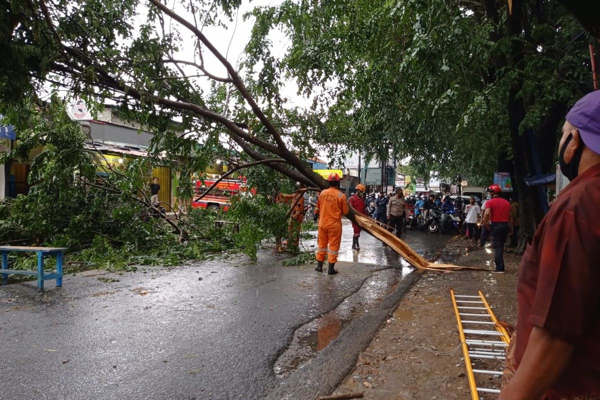 Pohon tumbang di Jalan Raya Gandul, Cinere, Depok, selepas hujan lebat disertai dengan angin kencang pada Jumat (5/3/2021).