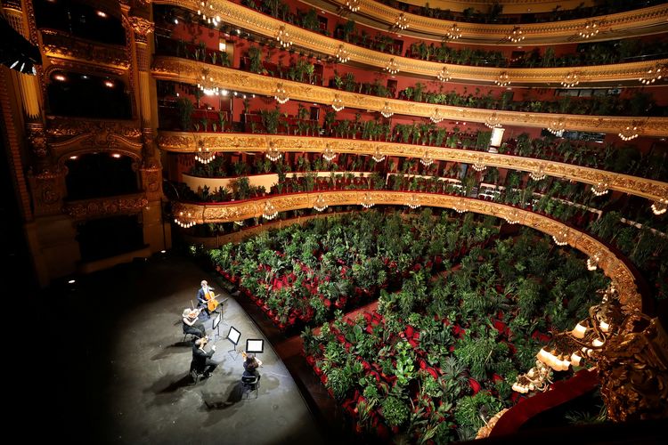 Sebanyak 2.292 pot tanaman dipasang di kursi-kursi Gedung Opera Liceu, Barcelona, Spanyol, pada Senin (22/6/2020). Tanaman ini berfungsi sebagai pengganti penonton opera.