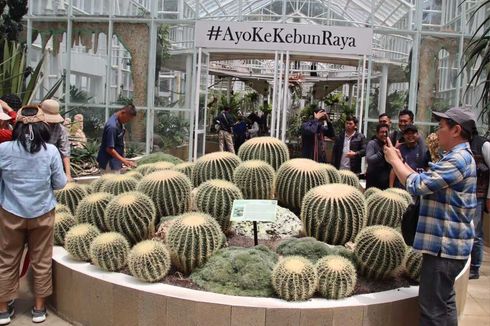 Libur Lebaran Berakhir, Kebun Raya Cibodas Masih Diserbu Wisatawan