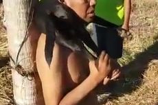 Viral, Video Pria di Kupang Diikat di Pohon oleh Warga, Diduga karena Curi Anjing 