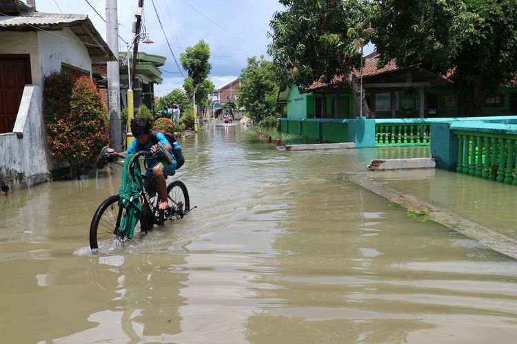 Sejumlah Desa di Jombang Dilanda Banjir, Ini Penyebabnya Menurut BNPB