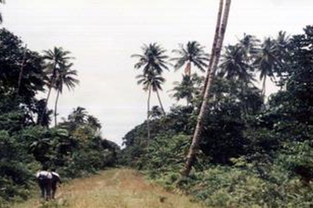 JALAN DARAT - Di Enggano pernah dibangun jalan darat Malakoni - Banjarsari. Tetapi di beberapa tempat, jalan tersebut sudah tertutup semak-semak dan ditumbuhi rumpun bambu.