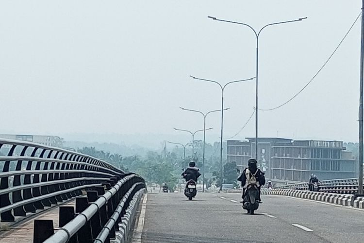 Kabut Asap Kembali Pekat di Riau, BMKG Deteksi 113 Hotspot