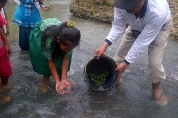 Warga desa melepas 1.000 ekor kura-kura serta 20.000 ikan lele dan ikan mas ke Sungai Tempuran, Kabupaten Wonogiri, Jawa Tengah.