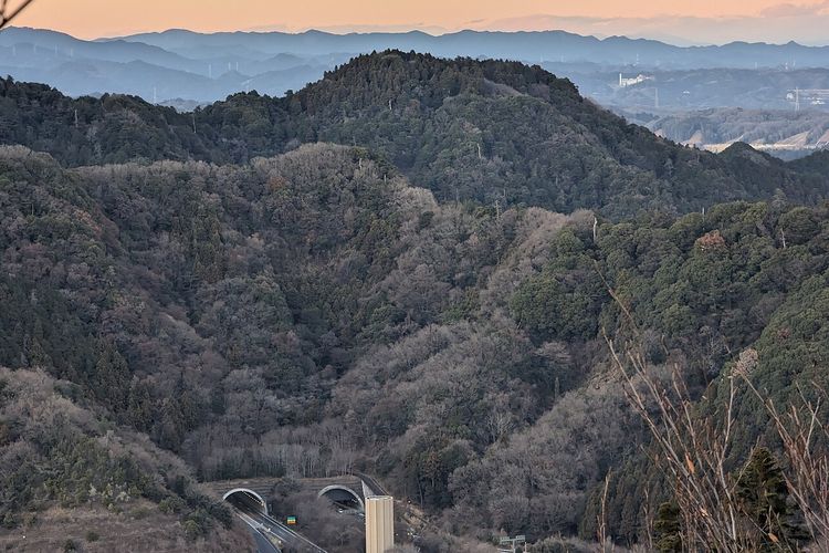 Beruang Terlihat Dekat Jalur Pendakian Gunung di Jepang, Wisatawan Diminta Waspada