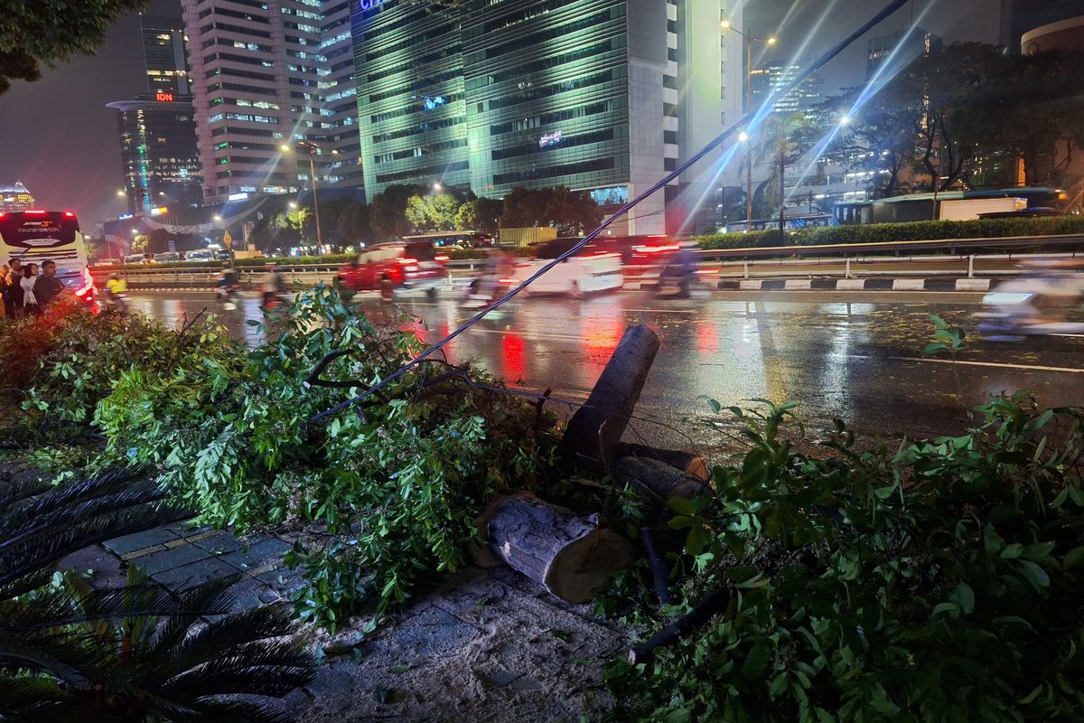 Kondisi pohon tumbang di Jalan Gatot Subroto Nomor 44, Jakarta Selatan, Rabu (3/7/2024)