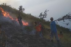 20 Hektar Lahan di Lereng Gunung Penanggungan Terbakar