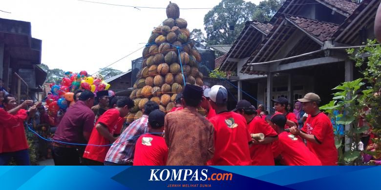 Melongok Kampung Durian di Magelang